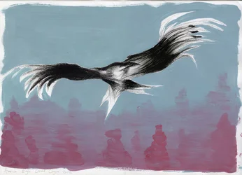 Canyon Eagle